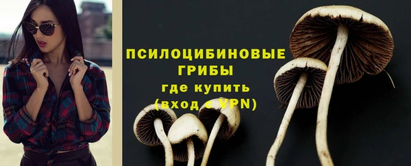 дурь Ладушкин