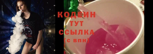 спиды Лагань