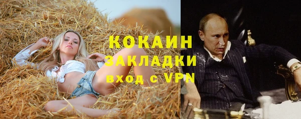 дурь Ладушкин