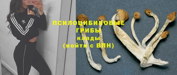 дурь Ладушкин