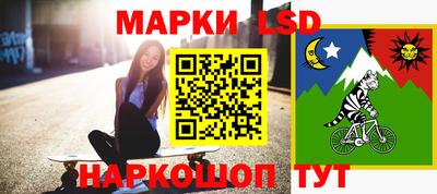 крисы Аргун