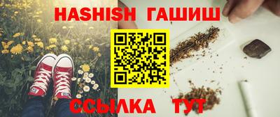 крисы Аргун