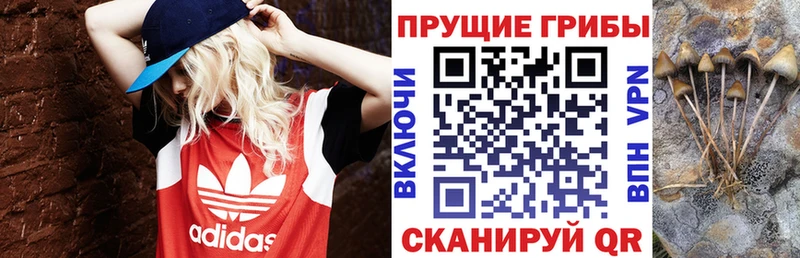 Псилоцибиновые грибы Magic Shrooms  Мелеуз 