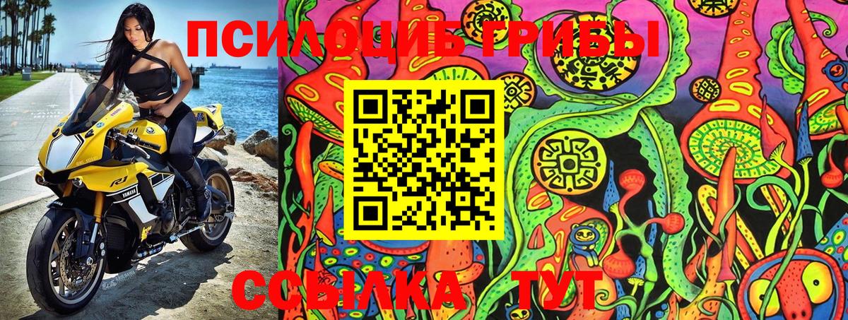 купить наркоту  Псилоцибиновые грибы Cubensis  Мелеуз  Вход с VPN  Галлюциногенные грибы ЛСД 