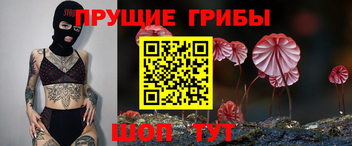 Галлюциногенные грибы Psilocybine cubensis Мелеуз